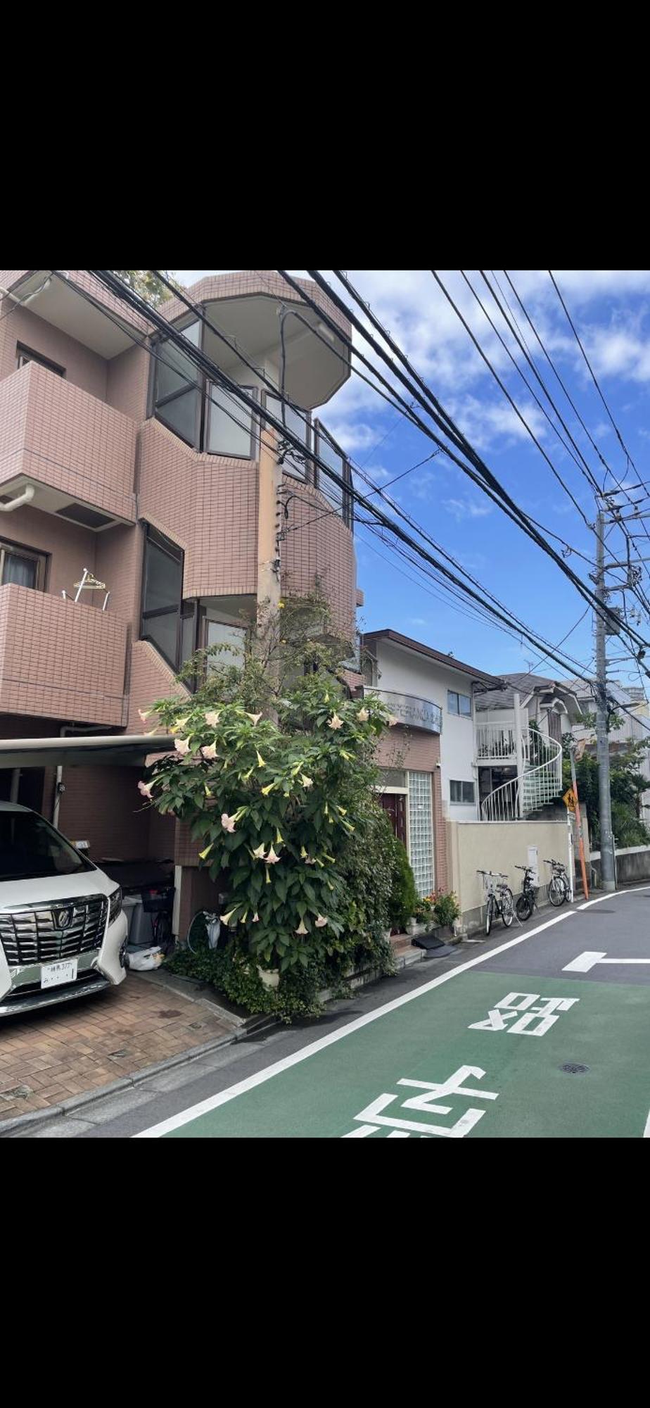 新宿安靜の家-A Quiet Home In Shinjuku - A 26 Square Meter Double Bed Room That Feels Like Home Tokyo Esterno foto