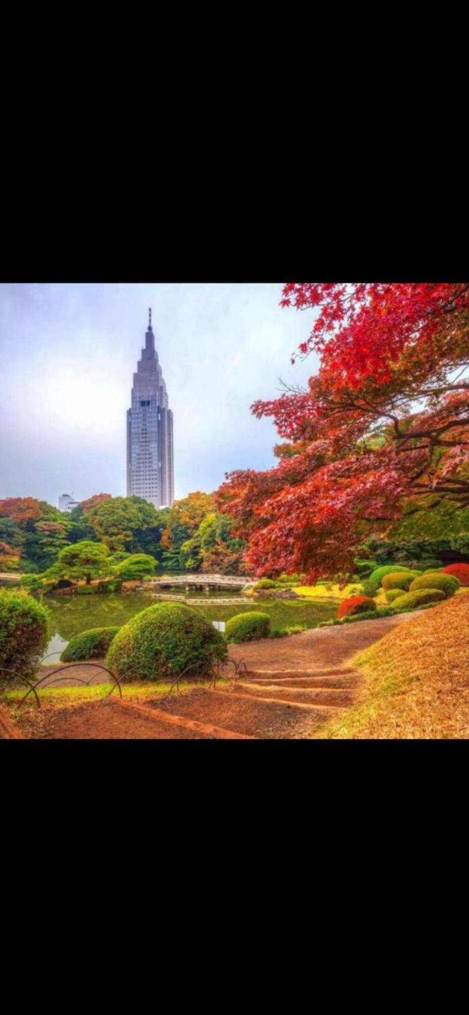 新宿安靜の家-A Quiet Home In Shinjuku - A 26 Square Meter Double Bed Room That Feels Like Home Tokyo Esterno foto