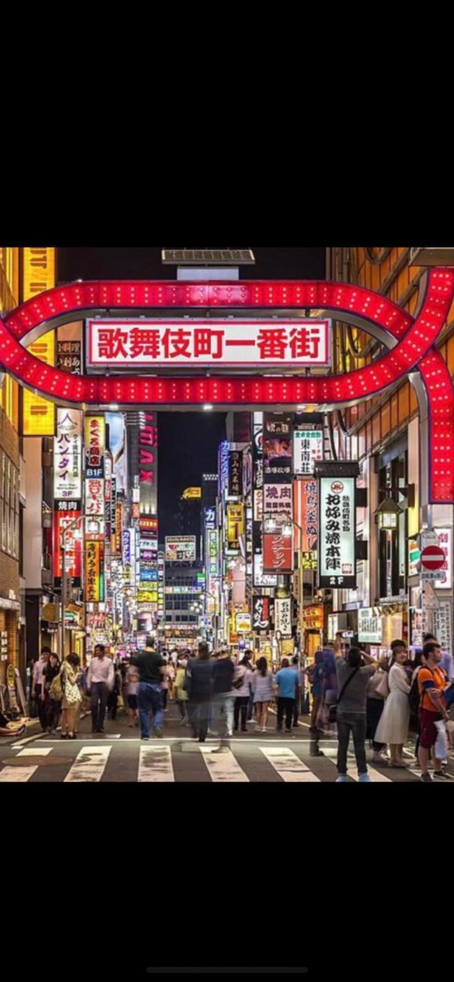 新宿安靜の家-A Quiet Home In Shinjuku - A 26 Square Meter Double Bed Room That Feels Like Home Tokyo Esterno foto